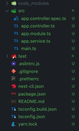 Nest JS Project Structure