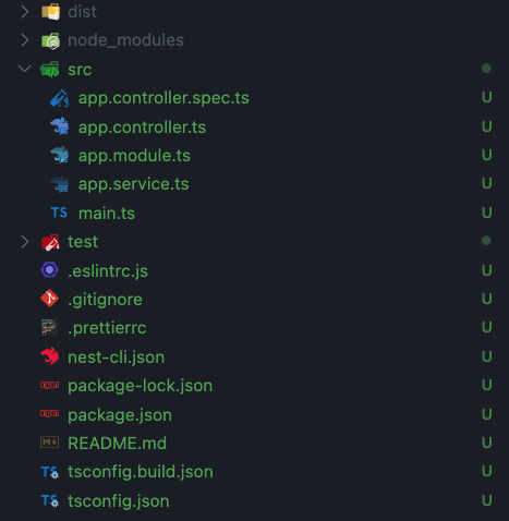 Nest JS Starter Project Structure